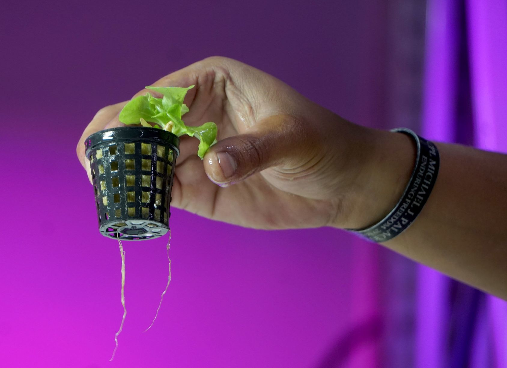 The Greencubator